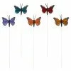 Wholesale 😀 Ashland® Monarch Pack 👏 -Michaels Store 10017011 1