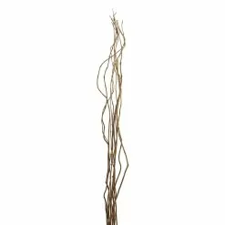 Brand new ✔️ Natural Curly Willow by Ashland® ✨ -Michaels Store 10017457