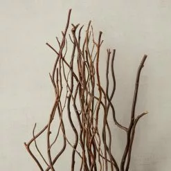 Brand new ✔️ Natural Curly Willow by Ashland® ✨ -Michaels Store 10017457 25