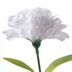 Cheap 🌟 White Carnation Spray by Ashland® 🤩 -Michaels Store 10017878 20