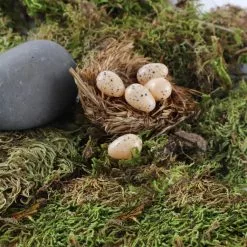 Wholesale 👍 Nature Center Speckled Tan Eggs by Ashland® 🎁 -Michaels Store 10029911 4