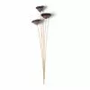 Best Pirce 🌟 Natural Lotus Pods Stem by Ashland® ⌛ -Michaels Store 10065712 21