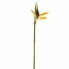 Coupon 🥰 12 Pack: Yellow Bird of Paradise Stem by Ashland® 🛒 2 Coupon 🥰 12 Pack: Yellow Bird of Paradise Stem by Ashland® 🛒 -Michaels Store 10066898 1