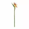 Top 10 ❤️ Tropical Bird of Paradise Stem by Ashland® ✔️