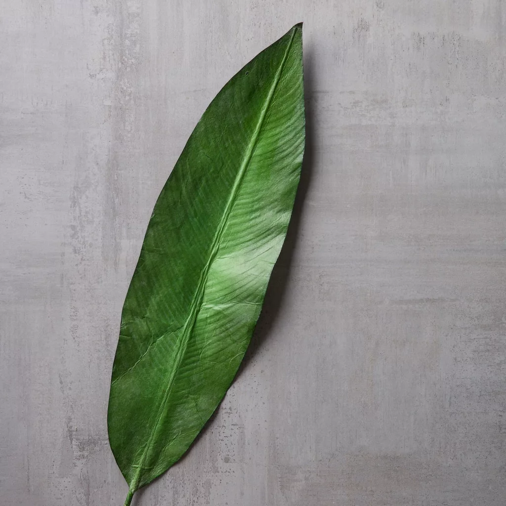 New ⌛ Tropical Bird Of Paradise Leaf Spray by Ashland® 😀 4 New ⌛ Tropical Bird Of Paradise Leaf Spray by Ashland® 😀 - Image 2