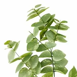 Hot Sale 😀 Eucalyptus Branch by Ashland® 🎉