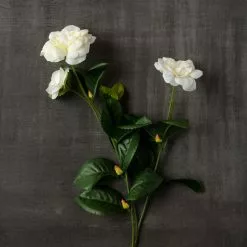 Buy ⌛ Gardenia Spray by Ashland® 😍 -Michaels Store 10107972 25