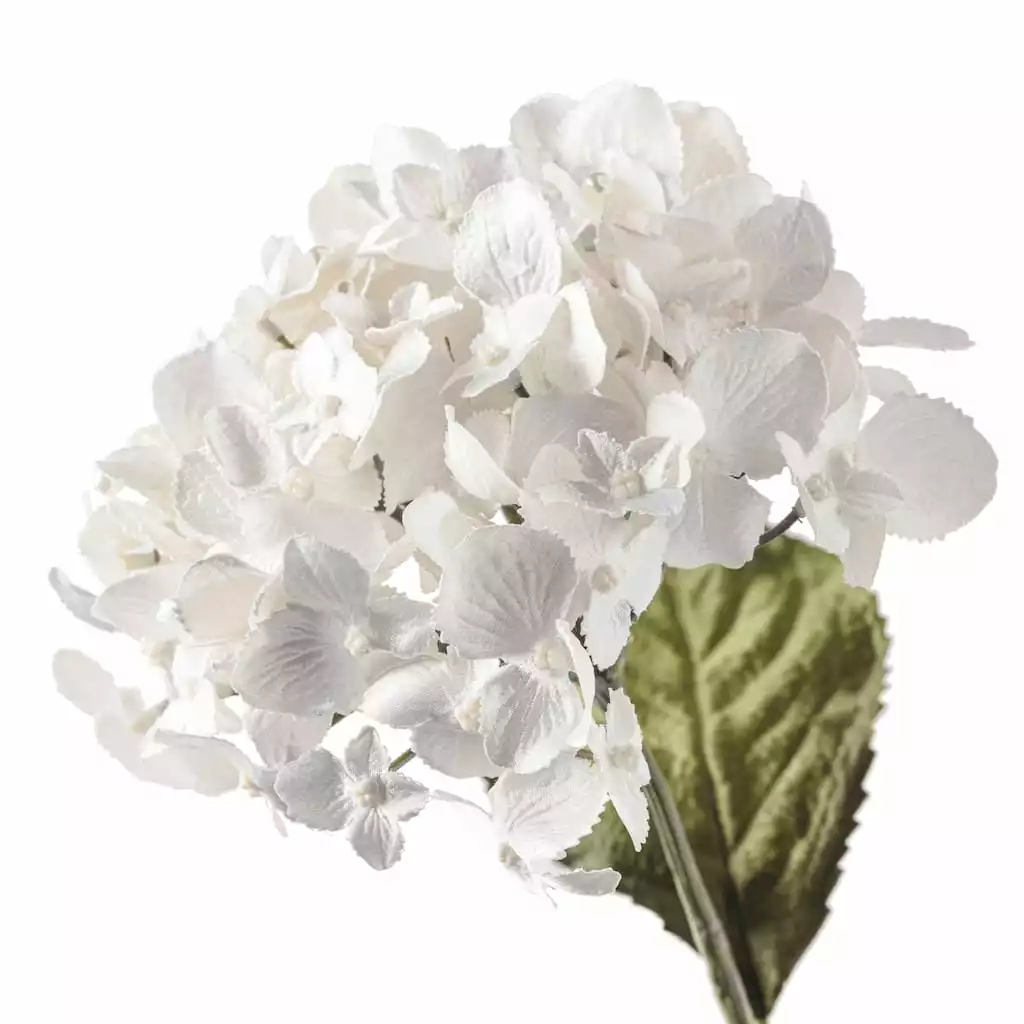 Brand new ✨ Pearl Hydrangea Stem by Ashland® ⭐ 6 Brand new ✨ Pearl Hydrangea Stem by Ashland® ⭐ - Image 4