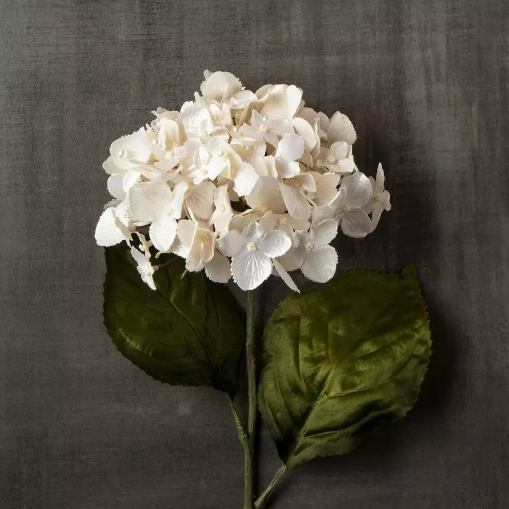 Brand new ✨ Pearl Hydrangea Stem by Ashland® ⭐ 5 Brand new ✨ Pearl Hydrangea Stem by Ashland® ⭐ - Image 3
