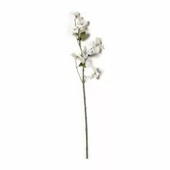 Buy ⌛ Pearl 😀 Dogwood Spray by Ashland® 🧨
