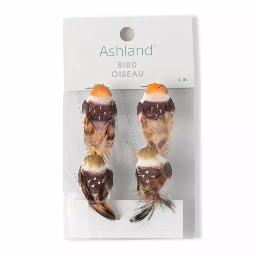Cheapest 🔥 Assorted Mushroom Birds by Ashland® 😉 5 Cheapest 🔥 Assorted Mushroom Birds by Ashland® 😉 - Image 3