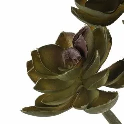 Hot Sale ⭐ Ashland® Succulent Pick 🧨 -Michaels Store 10128870 20