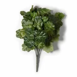 Outlet 👍 Coral Bell Bush by Ashland® 🔥