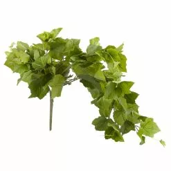 Promo 🛒 Green Hanging Grape Leaf Bush by Ashland® 🥰