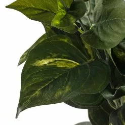 Best reviews of ๐งจ Pothos Bush Real Touch™ Collection by Ashland ๐ 7 Best reviews of ๐งจ Pothos Bush Real Touch™ Collection by Ashland ๐ -Michaels Store 10131108 20
