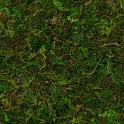 Coupon ✨ Moss Mat by Ashland® ⭐ -Michaels Store 10135027 22