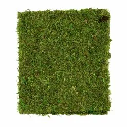 Coupon ✨ Moss Mat by Ashland® ⭐ -Michaels Store 10135027 3