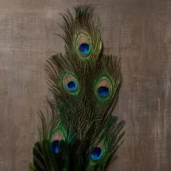 Promo 🥰 Ashland® Feather Pick, Peacock ✔️ -Michaels Store 10150741 25