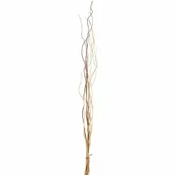 Hot Sale 🎉 6 Pack: Mixed Natural Willow Bundle by Ashland® ❤️