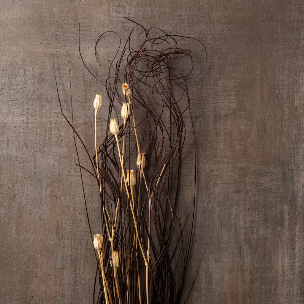 Coupon 𧨠Dried Lagurus Floral Bouquet by Ashland® π€© 5 Coupon 𧨠Dried Lagurus Floral Bouquet by Ashland® π€© - Image 3