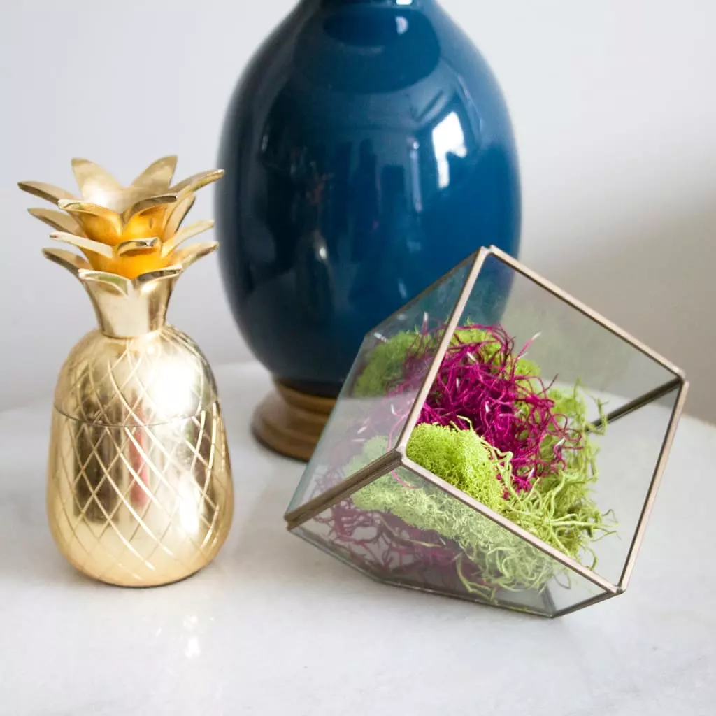 Coupon 🎁 6 Pack: Red Moss Variety Pack by Ashland® ⭐ 4 Coupon 🎁 6 Pack: Red Moss Variety Pack by Ashland® ⭐ - Image 2