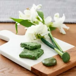 Coupon ✔️ Florist Clay Block by Ashland™ 🥰 -Michaels Store 10174332 20