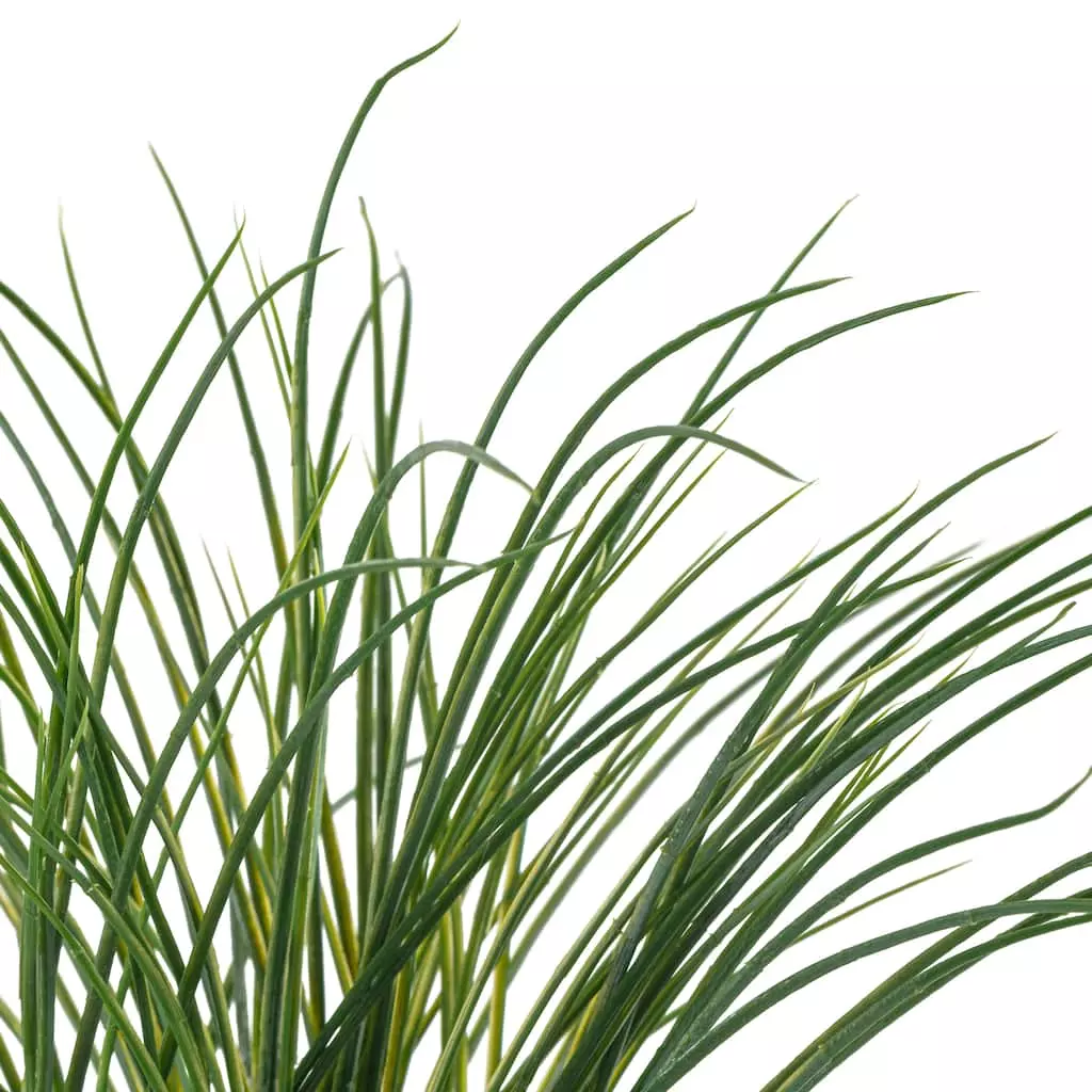 Best Sale ❤️ Assorted Grass Bush by Ashland® ❤️ 5 Best Sale ❤️ Assorted Grass Bush by Ashland® ❤️ - Image 3