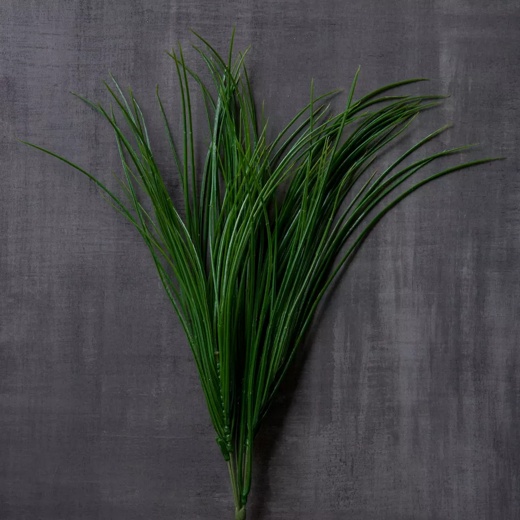 Best Sale ❤️ Assorted Grass Bush by Ashland® ❤️ 4 Best Sale ❤️ Assorted Grass Bush by Ashland® ❤️ - Image 2