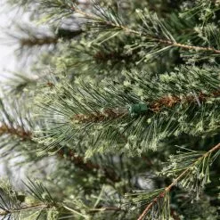 Best reviews of ✨ 7.5ft. Pre-Lit Quick Set™ Jasper Artificial ❤️ Christmas Tree, Clear Lights by Ashland® ❤️ -Michaels Store 10191054 13