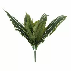 Wholesale 🎁 Boston Fern Bush Fern Collection by Ashland® 😉
