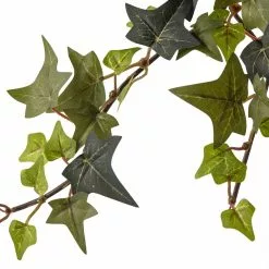 Top 10 𧨠Star Ivy Bush by Ashland® π₯ 7 Top 10 𧨠Star Ivy Bush by Ashland® π₯ -Michaels Store 10194917 20