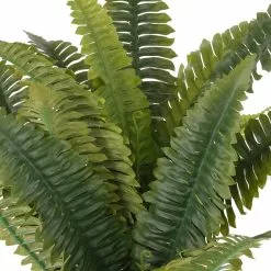 Promo 🔔 Boston Fern Bush Fern Collection by Ashland® 🌟 -Michaels Store 10194924 2