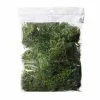 Top 10 ✔️ Preserved Forest Moss by Ashland® ❤️ -Michaels Store 10204602