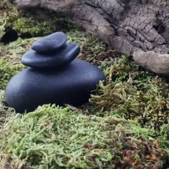 Top 10 ✔️ Preserved Forest Moss by Ashland® ❤️ -Michaels Store 10204602 3