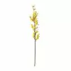 Best Pirce ✔️ Forsythia Branch Floral Essentials by Ashland® ⌛ 1 Best Pirce ✔️ Forsythia Branch Floral Essentials by Ashland® ⌛ -Michaels Store 10205308 21