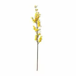 Best Pirce ✔️ Forsythia Branch Floral Essentials by Ashland® ⌛