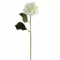 Coupon ✔️ Hydrangea Spray by Ashland® 😀