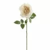 Top 10 ⭐ 12 Pack: White Sophia Rose Stem by Ashland® 🔔 -Michaels Store 10213470 01 1