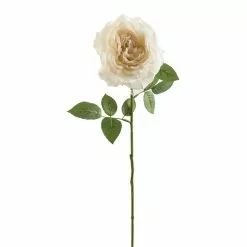 Cheap 😍 White Sophia Rose Stem by Ashland® 😀