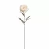 Cheap ⭐ 12 Pack: Cream Pearled Peony Stem by Ashland® 💯