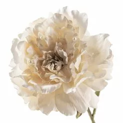 Top 10 ✨ Cream Peony Stem with Pearl by Ashland® ✔️ -Michaels Store 10213485 20