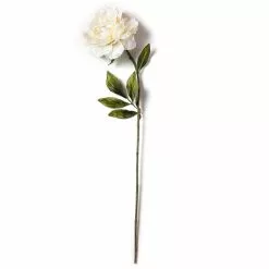 Top 10 ✨ Cream Peony Stem with Pearl by Ashland® ✔️ -Michaels Store 10213485 21