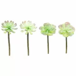 Budget ⌛ 12 Pack: Assorted Red Tipped Succulent Pick by Ashland® 🎁