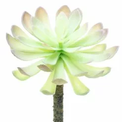 Budget ⌛ 12 Pack: Assorted Red Tipped Succulent Pick by Ashland® 🎁 -Michaels Store 10229986 3