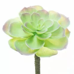 Budget ⌛ 12 Pack: Assorted Red Tipped Succulent Pick by Ashland® 🎁 -Michaels Store 10229986 4