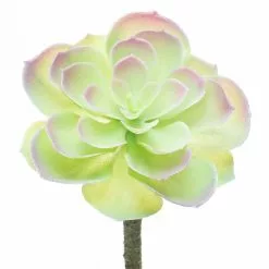 Budget ⌛ 12 Pack: Assorted Red Tipped Succulent Pick by Ashland® 🎁 -Michaels Store 10229986 5