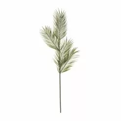 Coupon 🎁 Tropical Areca Palm Stem by Ashland® ⭐