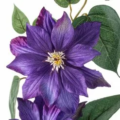 Cheap 👏 Purple Tropical Clematis Stem by Ashland® ⭐ -Michaels Store 10230902 20