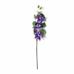 Cheap 👏 Purple Tropical Clematis Stem by Ashland® ⭐