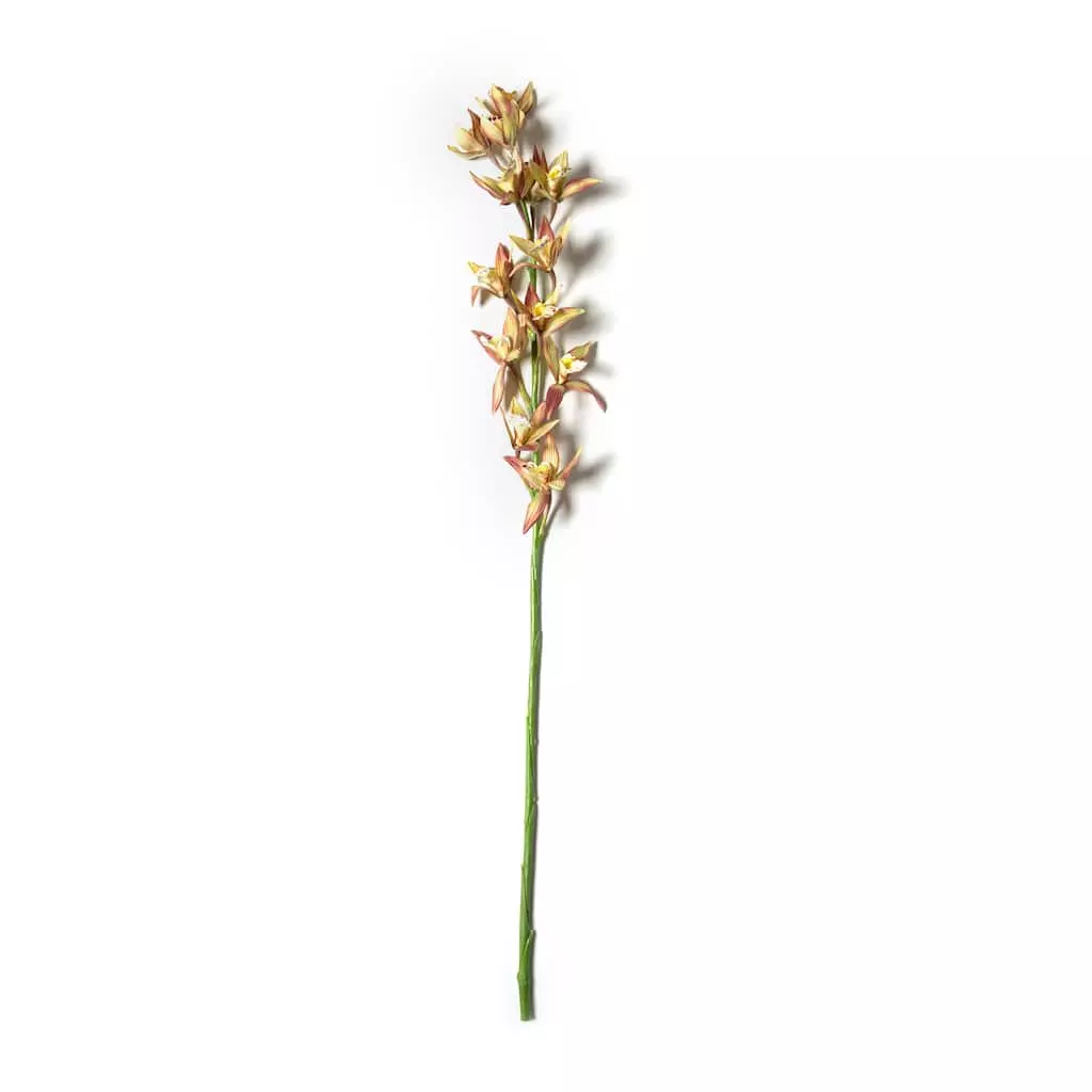 Hot Sale ⭐ Tropical Cymbidium Stem by Ashland® 👏 3 Hot Sale ⭐ Tropical Cymbidium Stem by Ashland® 👏